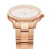 Orologio Solo Tempo Donna Daniel Wellington Iconic Link DW00100211 Oro Rosa 32mm