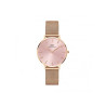 Orologio Solo Tempo Donna Daniel Wellington DW00100368 Petite Merlose Oro Rosa