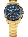 Orologio Cronografo Uomo Festina Chrono Bike F20727/1 Acciaio Silver