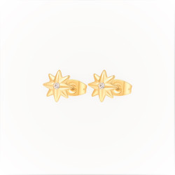 Orecchini Donna Brosway Chakra BHKE046 in Acciaio Pvd Oro Stella