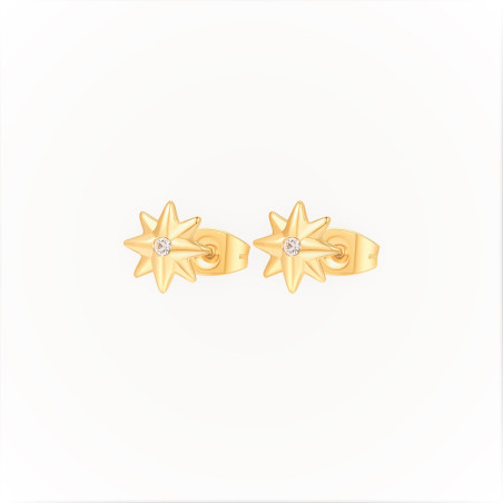 Orecchini Donna Brosway Chakra BHKE046 in Acciaio Pvd Oro Stella