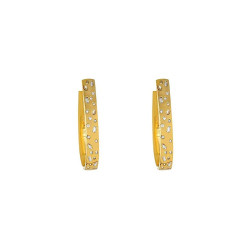 Earrings Woman LIU JO LJ1832 Color Gold with White Zircons
