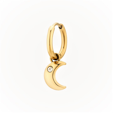 Women's Earrings Gold BHKE136