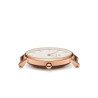 Only Time Women's Watch daniel wellington 28mm DW00100219