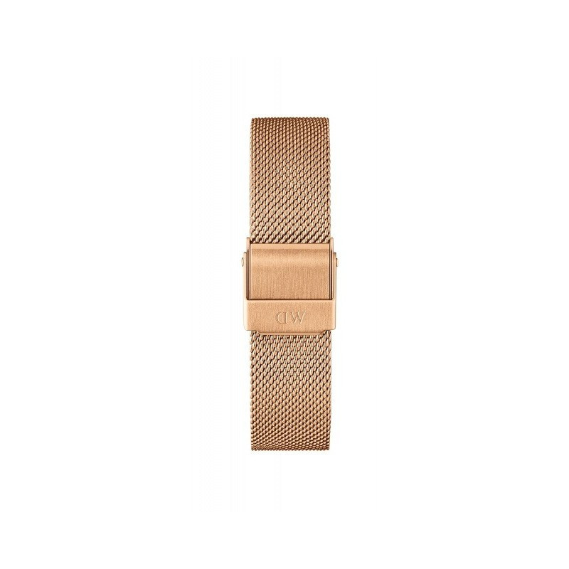 Orologio Solo Tempo Donna daniel wellington Cassa 32 mm DW00100163