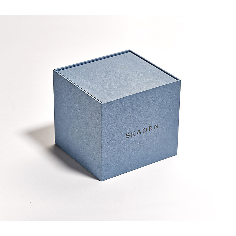 Men's Time Only Watch Skagen SKW6282 Holst