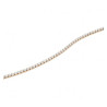 Collana Donna Daniel Wellington Tennis DW00400390 in Acciaio Silver