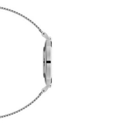 Orologio Donna Daniel Wellington DW00100306 Petite Sterling in Acciaio 36mm