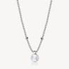 Collana Uomo Brosway Poseidon BPN01 in Acciaio Silver con Rosa dei Venti