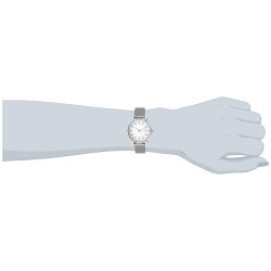 Women's Only Time Watch Skagen 26mm SKW2441