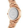 OROLOGIO UOMO SOLO TEMPO DANIEL WELLINGTON DW00100210 RAMATO