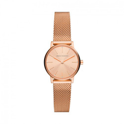 Women's Watch only time Armani AX5566
