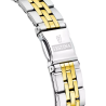 Orologio Solo Tempo Donna Festina Mademoiselle F16868/1 in Acciaio Silver e Oro