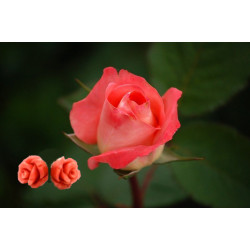 Orecchini Donna Nadir in Argento925 con Pasta di Corallo Rosa - Made In Italy