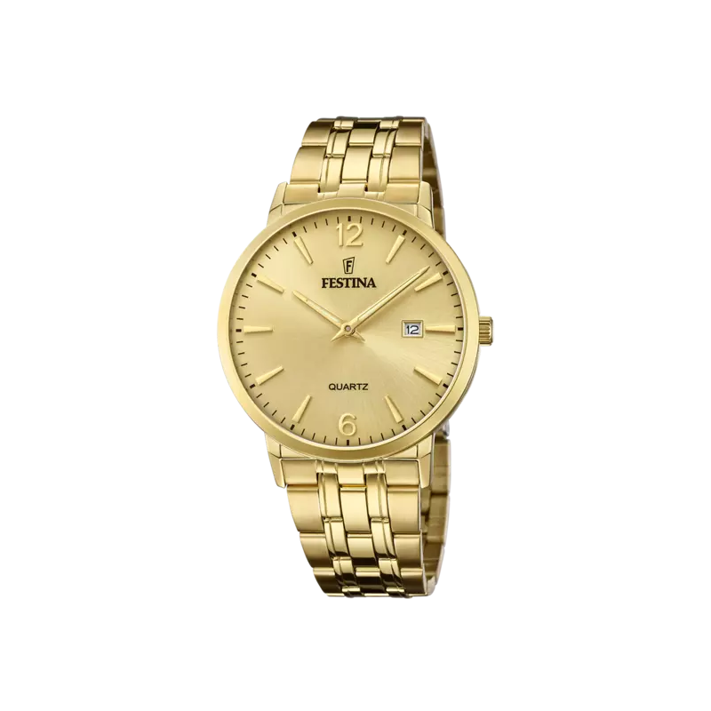 Orologio Uomo Festina Classic F20513/3 in Acciaio Oro 41mm Orologio Uomo Festina Classic F20513/3 in Acciaio Oro 41mm
