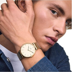 Orologio Uomo Daniel Wellington Classic piano link DW00100779 in Acciaio Oro