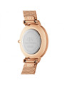 Orologio Solo Tempo Donna Daniel Wellington DW00100681 in Acciaio Oro Rosa 28mm