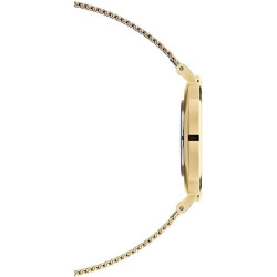 Orologio Donna Daniel Wellington Classic petite Evergold 32 mm DW00100348 in Acciaio Oro