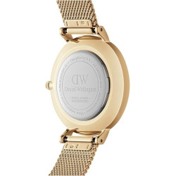 Orologio Donna Daniel Wellington Classic petite Evergold 32 mm DW00100348 in Acciaio Oro