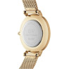 Orologio Donna Daniel Wellington Classic petite Evergold 32 mm DW00100348 in Acciaio Oro