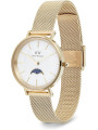 Orologio Donna Daniel Wellington Petite Lune Acciaio Dorato Fasi Lunari DW00100771 Oro 32mm