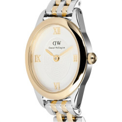 Orololgio Donna Daniel Wellington DW00100811 Ophelia Mini Gold in Acciaio e Oro 26mm