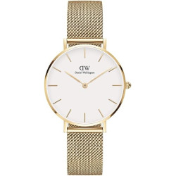 Orologio Donna Daniel Wellington Classic petite Evergold 28 mm DW00100350 in Acciaio Oro