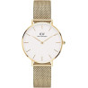 Orologio Donna Daniel Wellington Classic petite Evergold 28 mm DW00100350 in Acciaio Oro