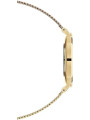 Orologio Donna Daniel Wellington Classic petite Evergold 28 mm DW00100350 in Acciaio Oro