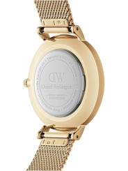 Orologio Donna Daniel Wellington Classic petite Evergold 28 mm DW00100350 in Acciaio Oro
