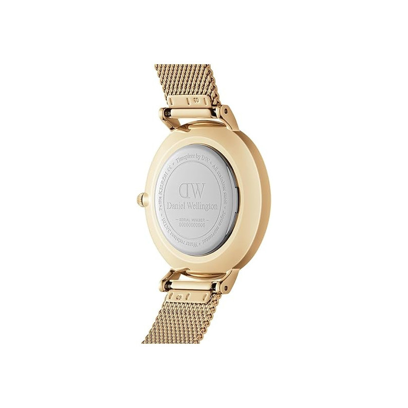 Orologio Donna Daniel Wellington Classic petite Evergold 28 mm DW00100350 in Acciaio Oro