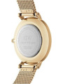 Orologio Donna Daniel Wellington Classic petite Evergold 28 mm DW00100350 in Acciaio Oro