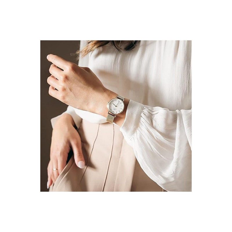 Orologio Donna Daniel Wellington Classic petite Evergold 28 mm DW00100350 in Acciaio Oro
