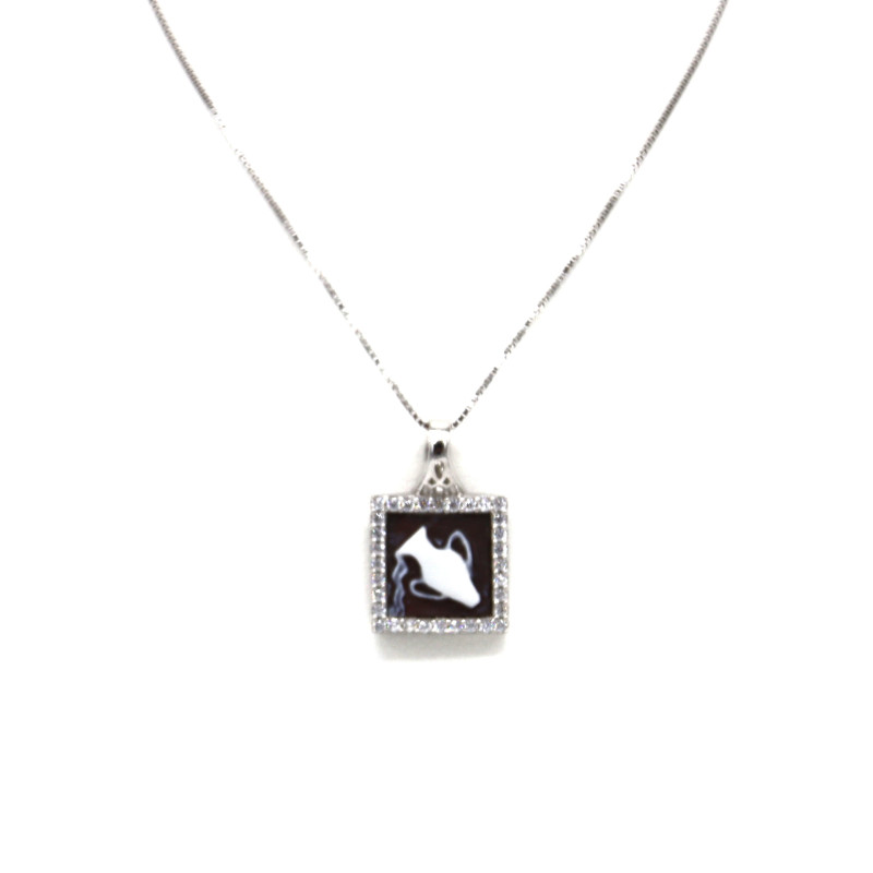 Collana Donna in Argento 925% con Ciondolo Segno Zodiacale Acquario Cammeo con Conchiglia Sarda Collana Donna in Argento 925% con Ciondolo Segno Zodiacale Acquario Cammeo con Conchiglia Sarda
