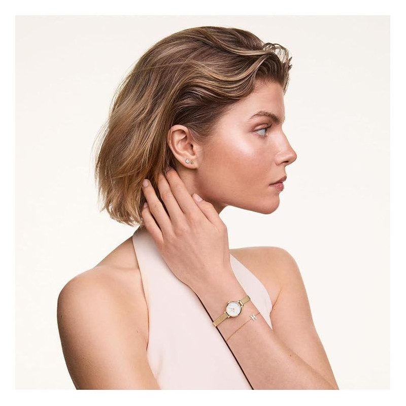 Orologio Donna Daniel Wellington Petite mini DW00100745 Oro Rosa 19mm
