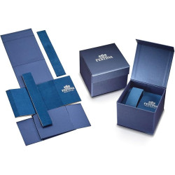 Orologio Uomo Automatico Festina F20531/2 Acciaio Silver