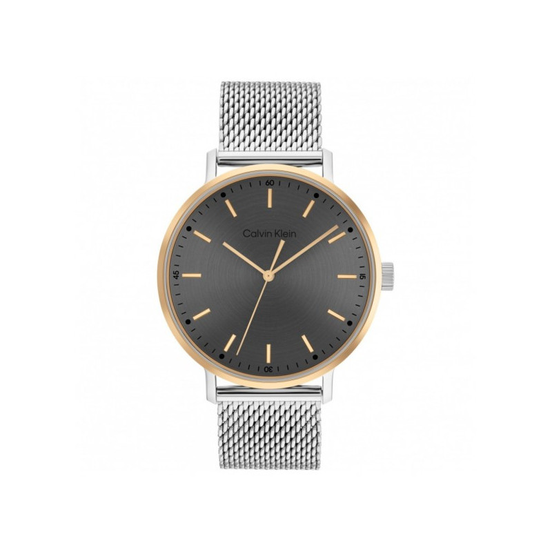 Orologio Uomo Calvin Klein Timeless modern mesh 25200047 Acciaio Silver Orologio Uomo Calvin Klein Timeless modern mesh 25200047 Acciaio Silver