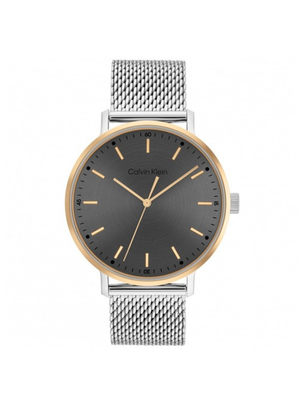 Orologio Uomo Calvin Klein Timeless modern mesh 25200047 Acciaio Silver