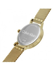 Orologio Uomo Calvin Klein Timeless modern mesh 25200049 Acciaio Oro