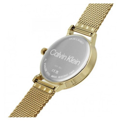 Orologio Uomo Calvin Klein Timeless modern mesh 25200049 Acciaio Oro