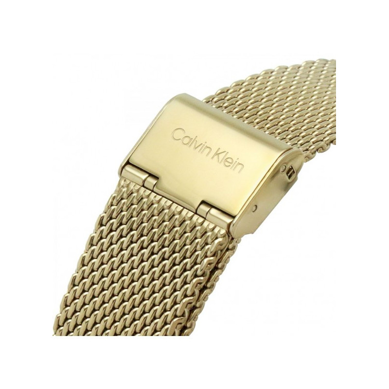 Orologio Uomo Calvin Klein Timeless modern mesh 25200049 Acciaio Oro