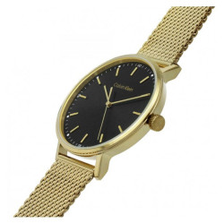 Orologio Uomo Calvin Klein Timeless modern mesh 25200049 Acciaio Oro