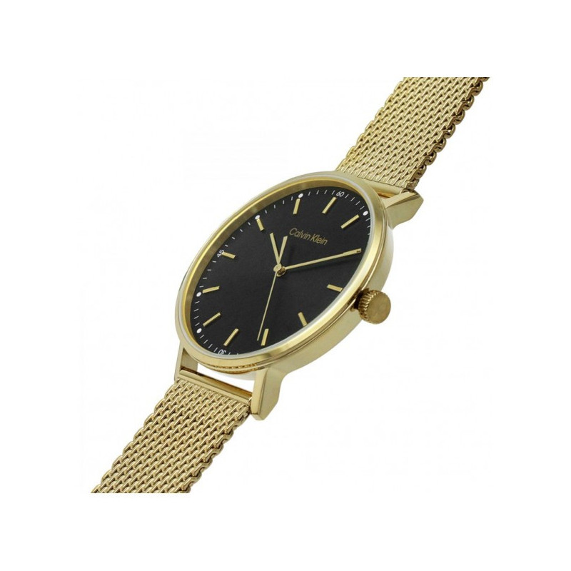 Orologio Uomo Calvin Klein Timeless modern mesh 25200049 Acciaio Oro