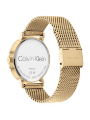 Orologio Uomo Calvin Klein Timeless modern mesh 25200049 Acciaio Oro