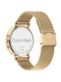 Orologio Uomo Calvin Klein Timeless modern mesh 25200049 Acciaio Oro