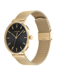 Orologio Uomo Calvin Klein Timeless modern mesh 25200049 Acciaio Oro
