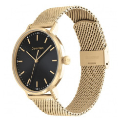 Orologio Uomo Calvin Klein Timeless modern mesh 25200049 Acciaio Oro
