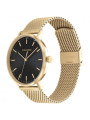 Orologio Uomo Calvin Klein Timeless modern mesh 25200049 Acciaio Oro