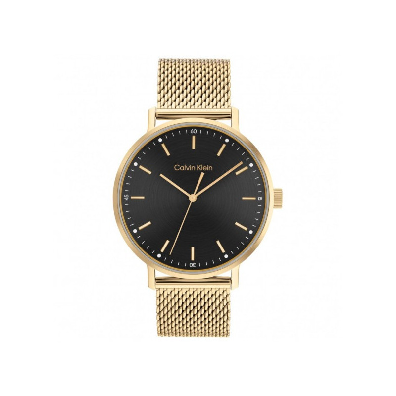 Orologio Uomo Calvin Klein Timeless modern mesh 25200049 Acciaio Oro Orologio Uomo Calvin Klein Timeless modern mesh 25200049 Acciaio Oro