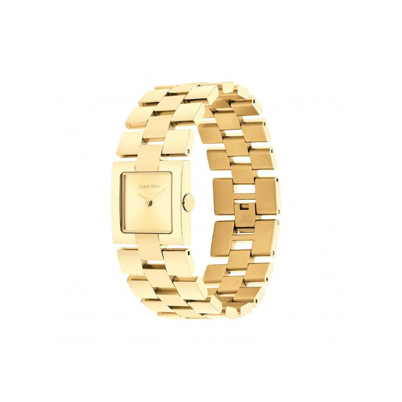 Orologio Donna Calvin Klein Meridian 25100089 Acciaio Oro